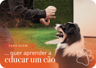 Cão sentado, com treinador a segurar um biscoito.