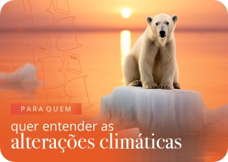 Uso Polar num pequeno pedaço de gelo, a representar o aquecimento global.