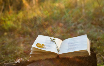 Livro aberto, com uma madalena dentro do livro, sob a relva