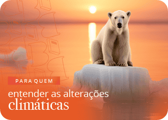 Uso Polar num pequeno pedaço de gelo, a representar o aquecimento global.