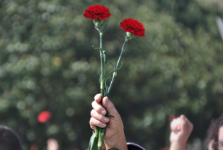 Ramo de cravos, segurados por uma mulher, alusivos ao 25 de abril