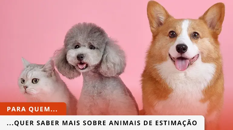 Cão branco, a correr com língua para fora num jardim.