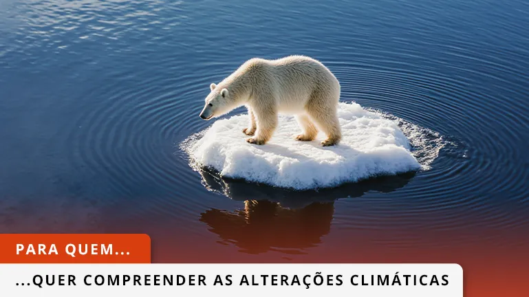 Uso Polar num pequeno pedaço de gelo, a representar o aquecimento global.