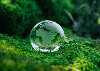 Globo transparente sob musgo verde